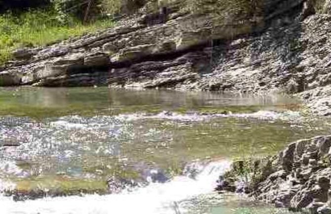 Moria di pesci nel Torrente Vertosan. Scatta il divieto di pesca