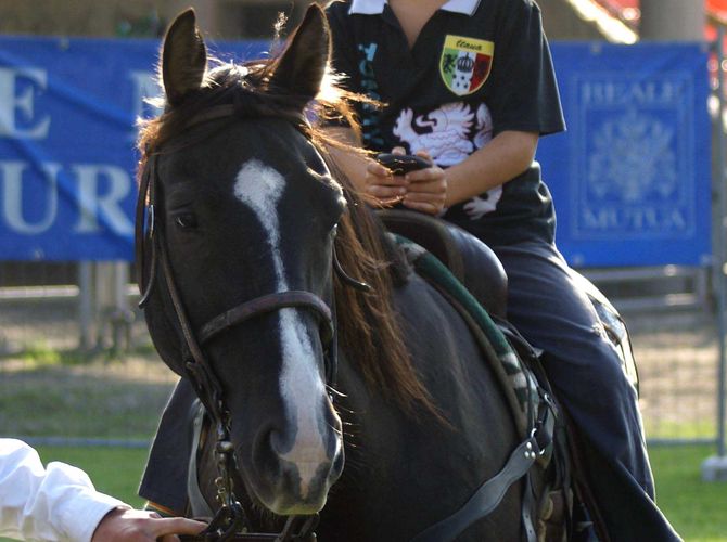 5° equiraduno VdA: tre giorni di musica, spettacoli e dimostrazioni equestri