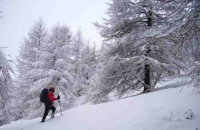 Domenica 7 dicembre: Cime strepitose