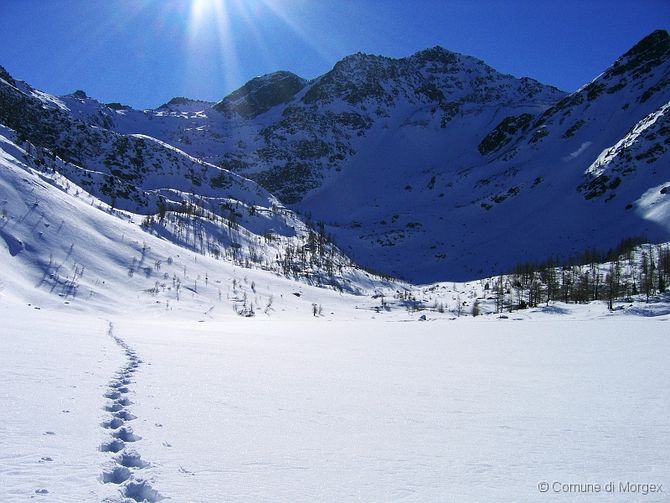 Escursioni gratuite con le racchette per scoprire i paesaggi del Monte Bianco