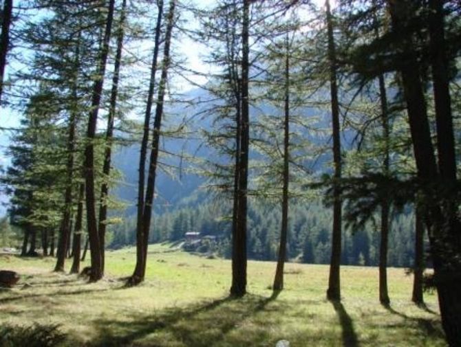 Scoprire il Parco del Gran Paradiso nella Valle di Rhêmes