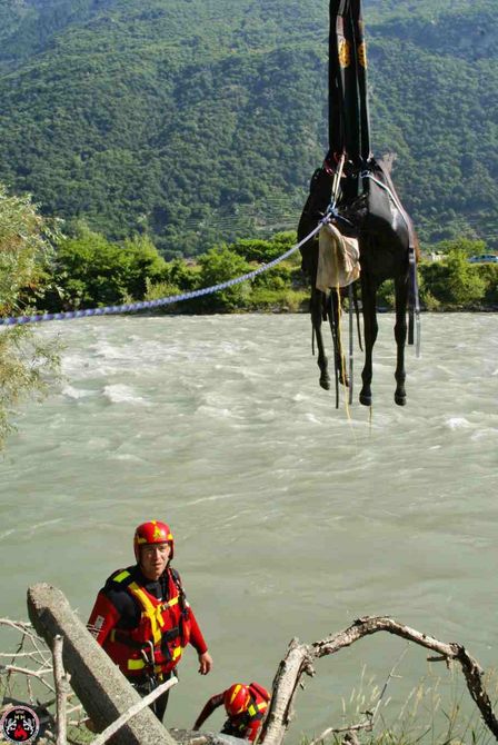 Recuperato un puledro caduto in Dora