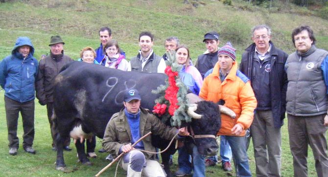 A Valpelline, Claudio Berthod qualifica cinque bovine