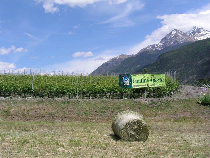 La Valle si prepara all’appuntamento con Cantine aperte: 25 aziende protagoniste