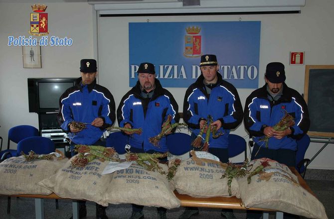 Maxi sequestro di khat: sessantuno chili di droga nel portabagagli