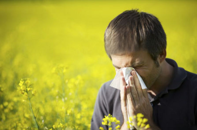 In crescita le malattie allergiche: alcune sostanze omeopatiche possono aiutarne la cura