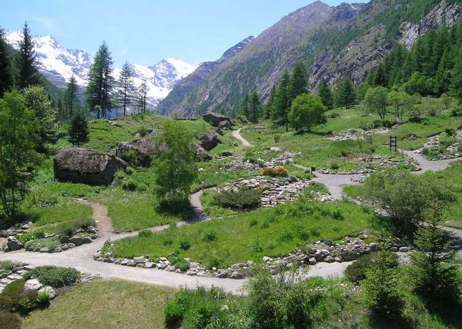 Nell’estate del Giardino Paradisia di Cogne anche un corso di giardinaggio alpino