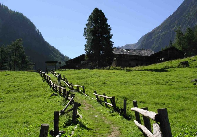 Montagna, artigianato e agricoltura protagoniste ad Ayas nel mese di agosto