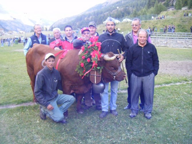 E’ “Pamplona” la regina di Valgrisenche