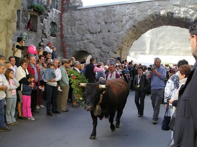 La Désarpa torna a risuonare nel cuore di Aosta e nella vallate valdostane