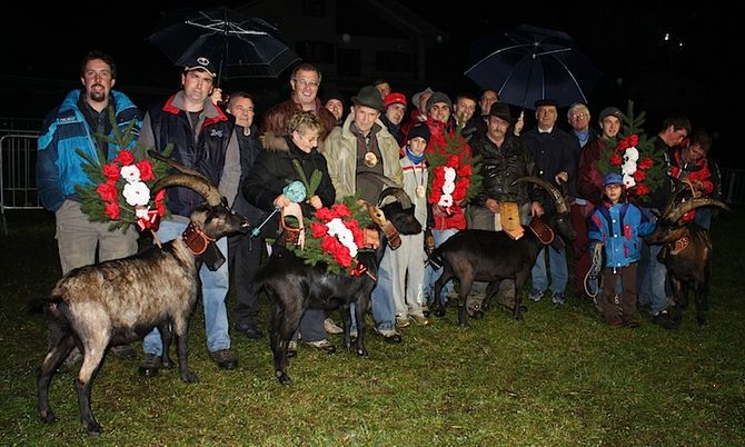 Mitra, Bomba, Birba e Topo protagoniste della finale regionale