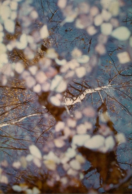 Louis Bochet vince il concorso fotografico  “Dans les yeux, dans les eaux”