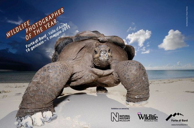 Wildlife Photographer of the Year 2010: al Forte di Bard i migliori scatti naturalistici