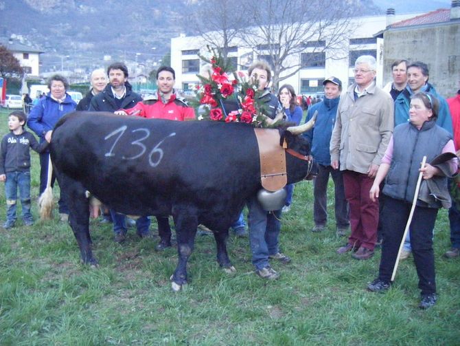 Pont “regala” il bosquet a Ribella, Orsière e Tsardon