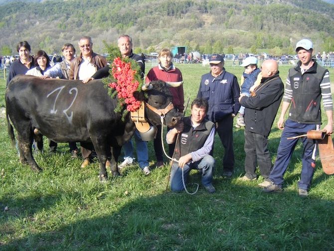 Campiglia, Prudence e Gédéon conquistano il bosquet a Challand