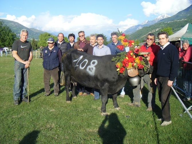 A Pollein ‘tripletta’ per le reines di Brissogne