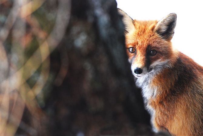 Il nuovo concorso fotografico di Fondation Grand Paradis è “Hors du Commun”