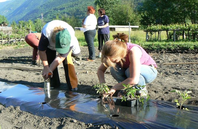 Jardin Potager nella Valdigne: tra riscoperta e raccolta di antichi saperi