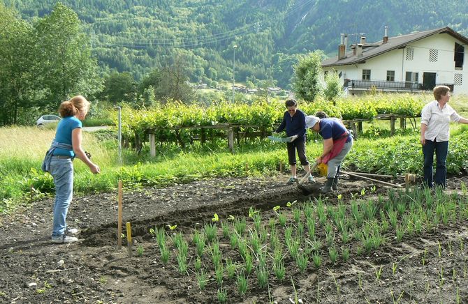 La Biblioteca di Saint-Denis organizza un corso su “L’orto familiare”