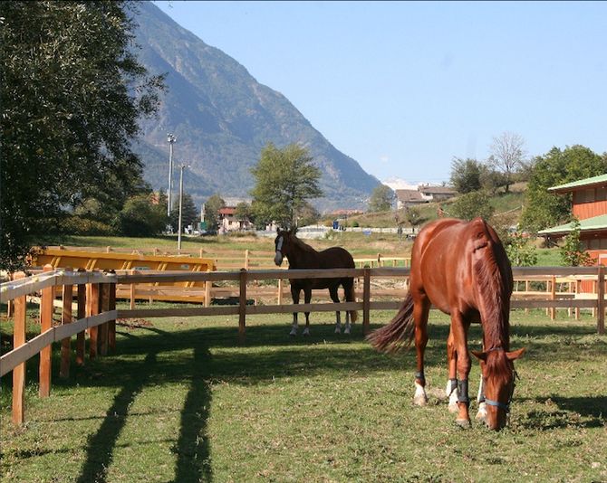 Maneggio, ricorso al Tar per chiedere l’annullamento del bando di gara