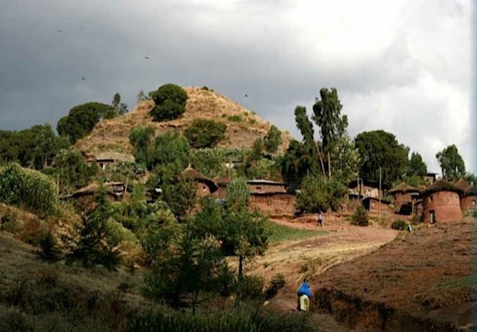 Concerto di solidarietà per l’Etiopia