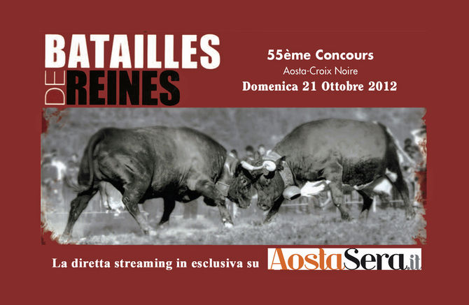 Batailles de Reines, la finale in diretta su AostaSera.it