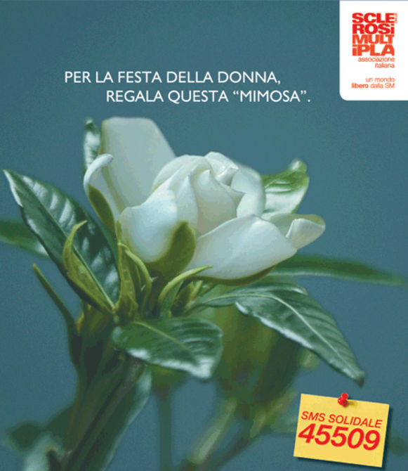 Gardenia Aism, raccolti 34.623 euro