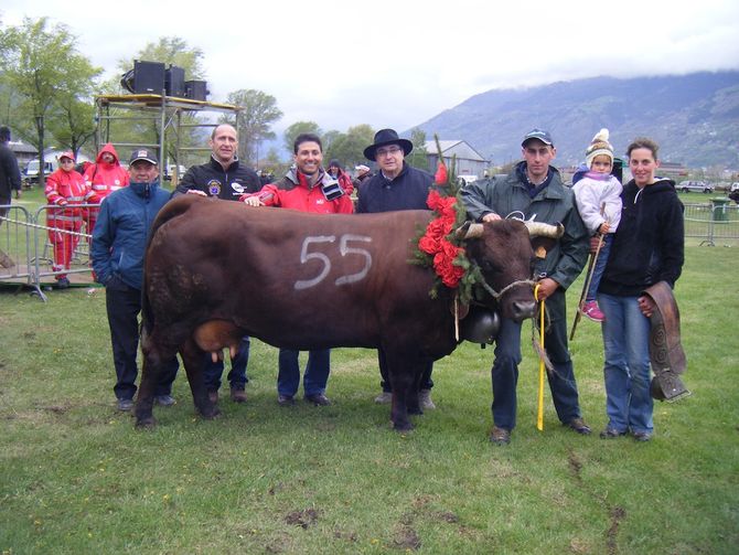 Sotto la pioggia vincono Drapeau, Voleine e Ma chère