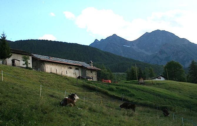 Anche gli abitanti della collina di Saint-Marcel sono Greundzi