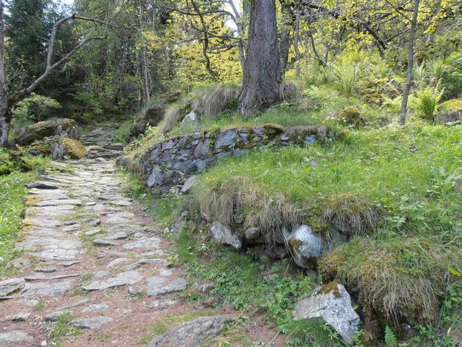 Coldiretti risponde alla lettera di Legambiente