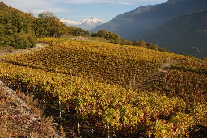 Alla Crotta di Vegneron riconoscimenti nazionali per premiare scelte e passione