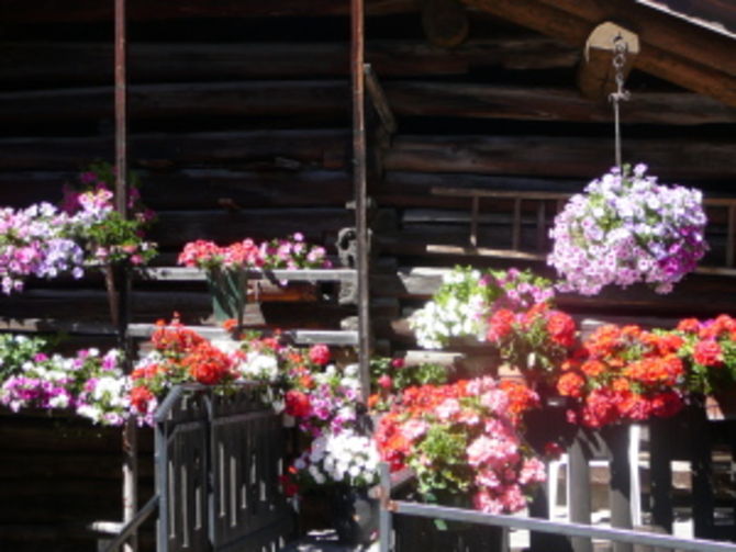 Cogne, assegnati i premi del concorso il “Balcone Fiorito”