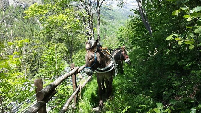 Legambiente, domenica la consegna della Bandiera Verde a NaturaValp