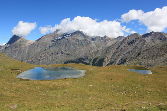 Gran Paradiso, rinasce ecosistema del Lago Djouan