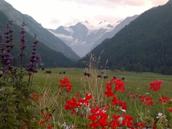 Cogne, terza edizione del concorso “Comune fiorito”