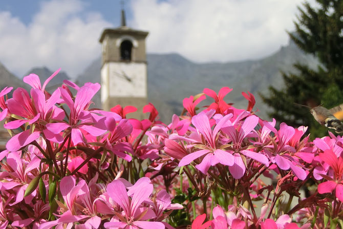 Cogne, va ad una genovese l’edizione 2015 di “Comune fiorito”