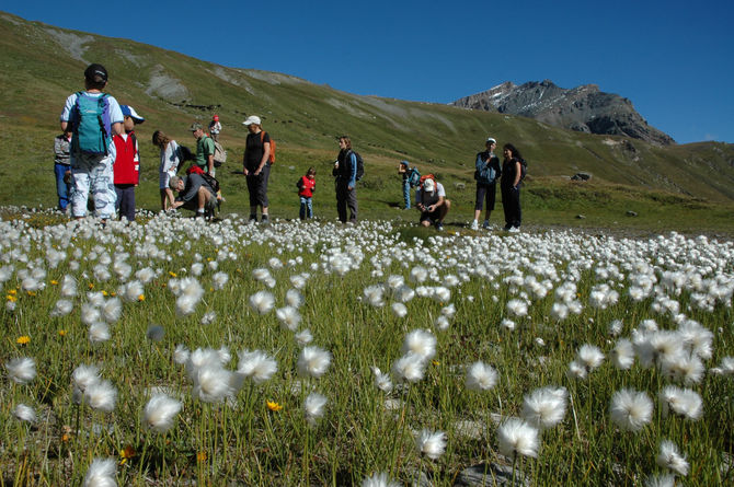 Il Gran Paradiso si conferma al secondo posto tra i Parchi più richiesti dai tour operator