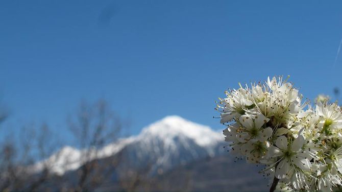 Passeggiata di primavera da Vens al Col du Mont-Joux