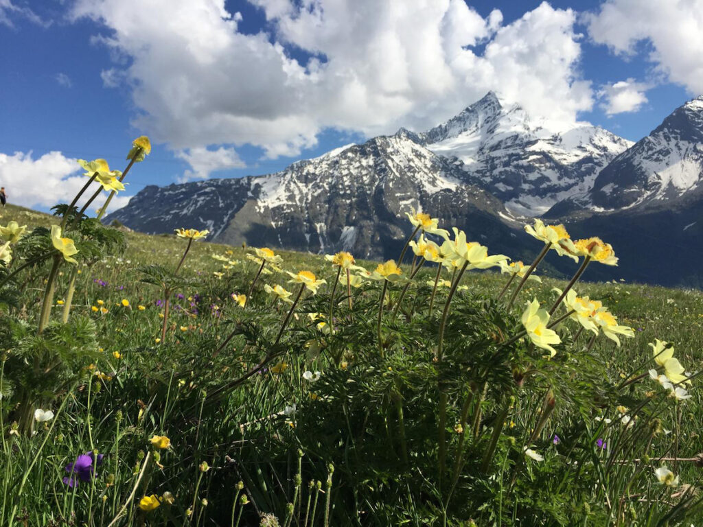 Domani l’edizione zero del Grivola Trail alla presenza di Silvio Mondinelli