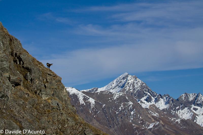 Combattimenti verticali – Alpe Meyes – Valsavarenche