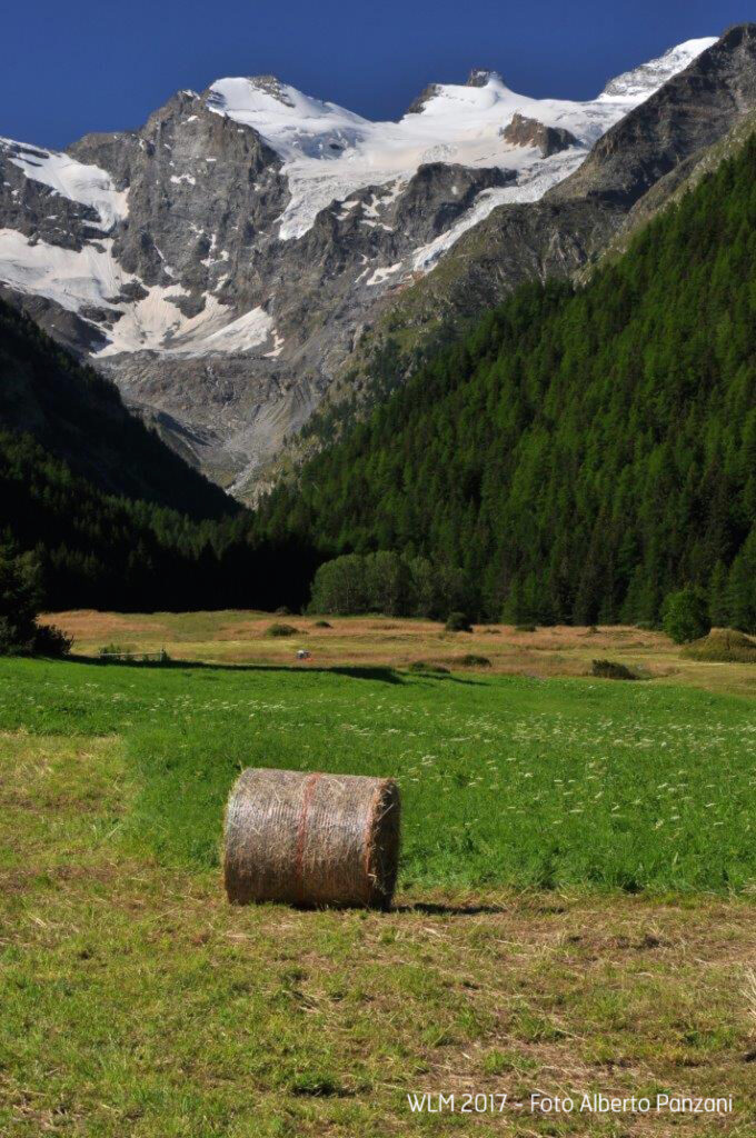 Wiki Loves Monuments 2017: il Premio Speciale Gran Paradiso ai Prati di Sant’Orso