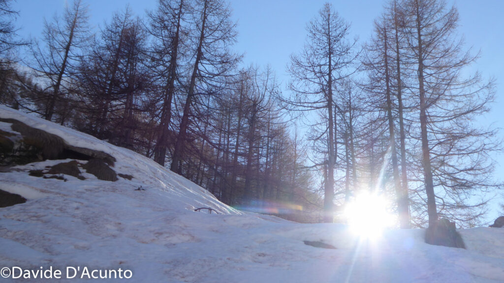 Ciaspolando nel Parco del Mont Avic