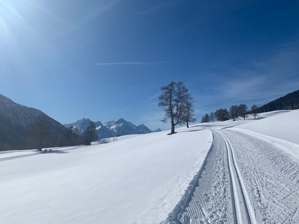 Fondo, si torna a sciare. E nasce lo skipass stagionale fondo/discesa per gli under 18