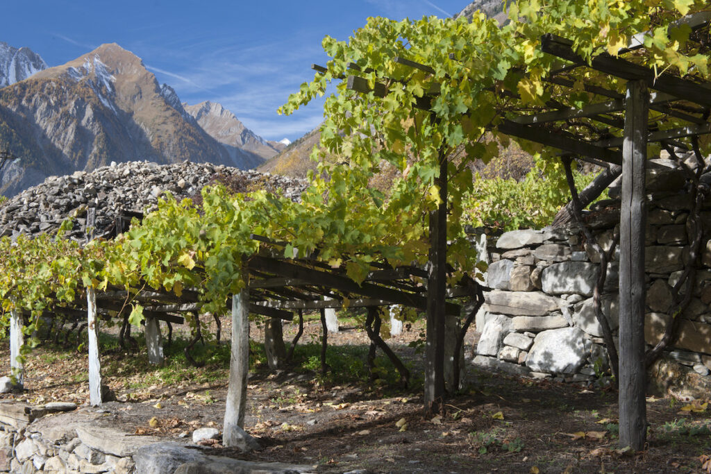 Approvate le norme per disciplinare l’attività enoturistica in Valle d’Aosta