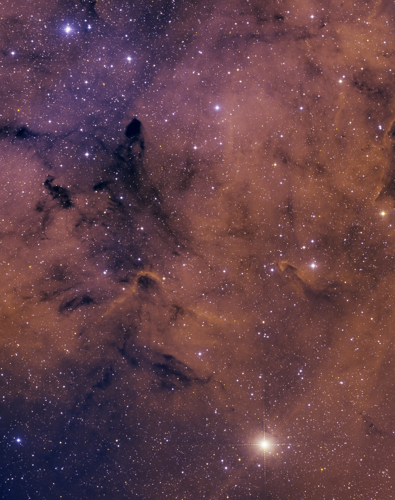 Mu Cephei (in basso a destra) e la nebulosa ad emissione IC1396 Crediti: Ginge Anvik https://www.flickr.com/photos/ginges/6274167794