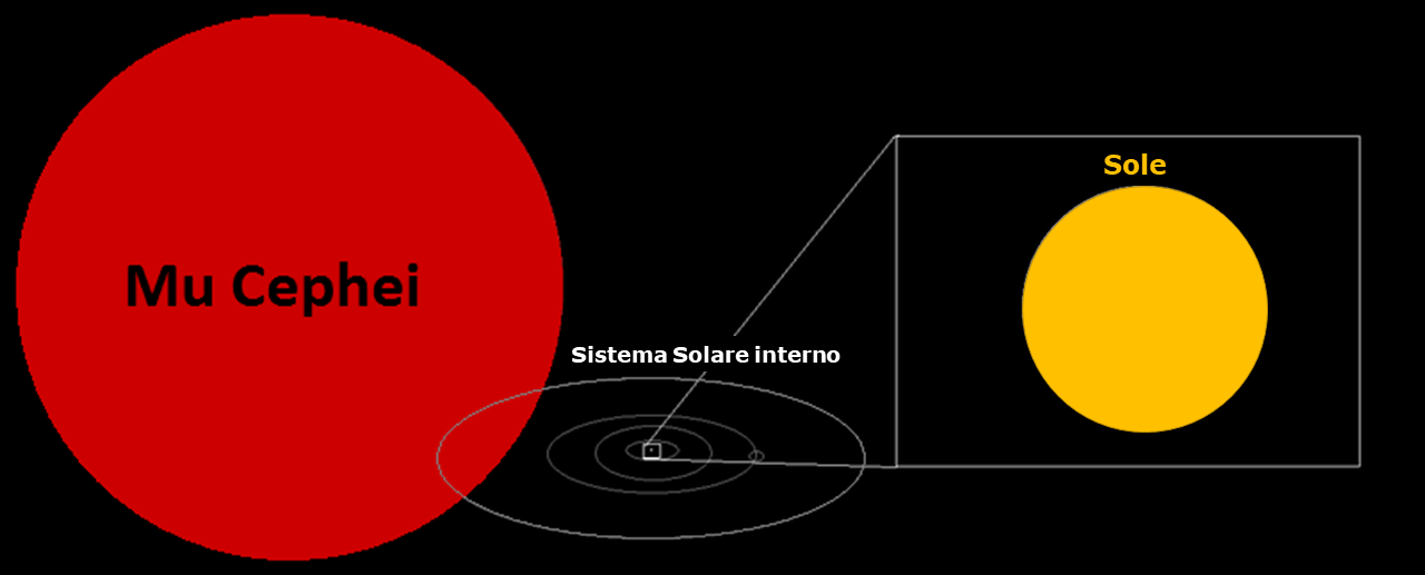 Le dimensioni di Mu Cephei a confronto con quelle del Sistema Solare interno: se fosse al posto del Sole, Mu Cepheu riempirebbe il Sistema Solare all’incirca fino all’orbita di Saturno! Crediti: Modificato a partire da Hoang42006 - Own work, CC BY-SA 4.0, https://commons.wikimedia.org/w/index.php?curid=69733825