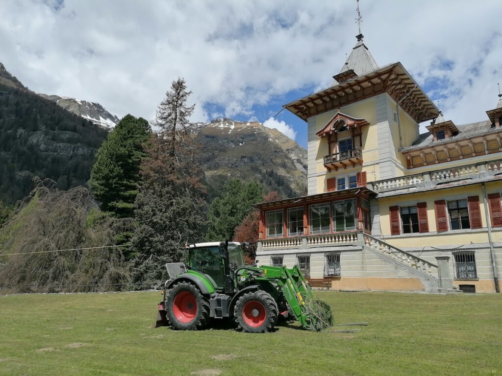 Les Magiciens du Bois: gli esperti nell’abbattimento degli alberi e nella manutenzione boschiva e del verde