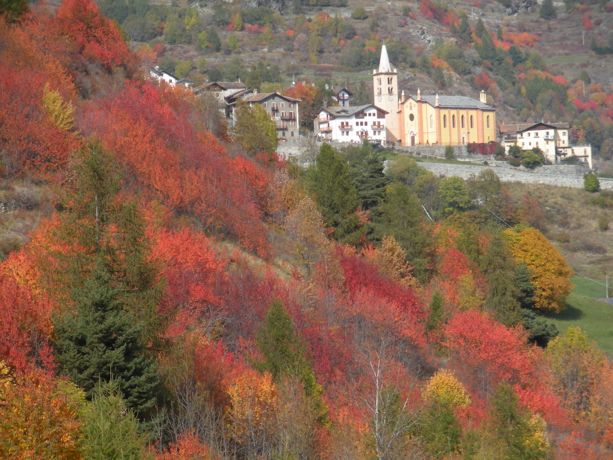 autunno a Torgnon