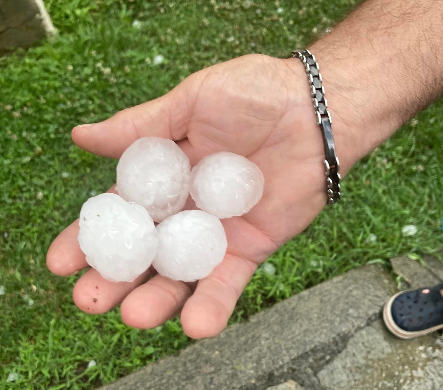 Grandinata a Donnas, danni ai vigneti. Chicchi anche su altre zone della  bassa Valle - Aostasera