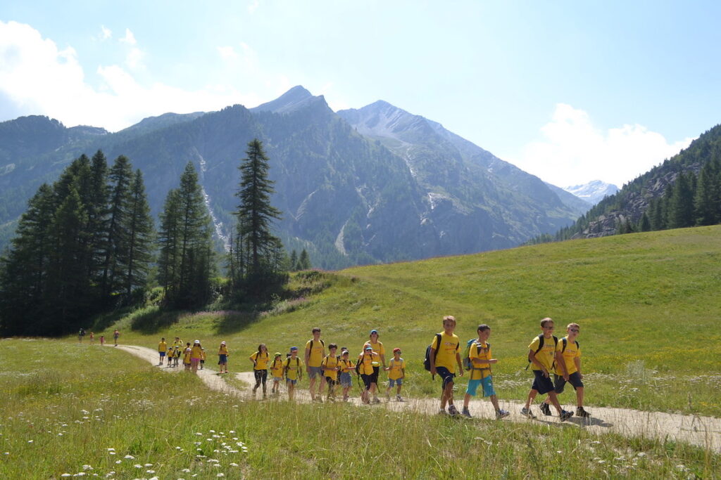 butterfly summer camp